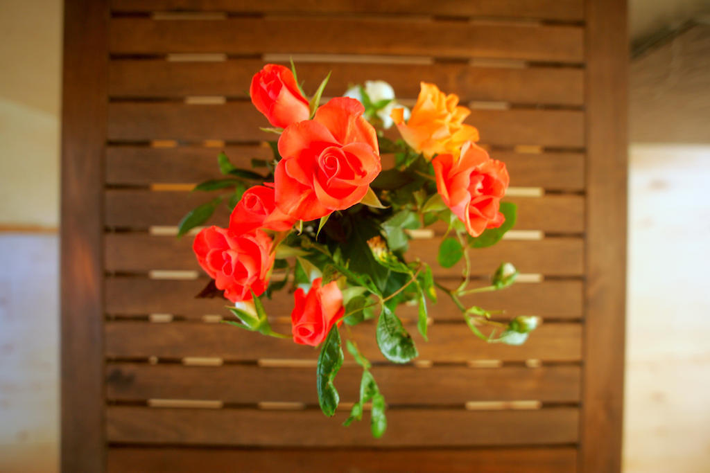 Le Magasin A Sel Bed & Breakfast Crozon Dış mekan fotoğraf