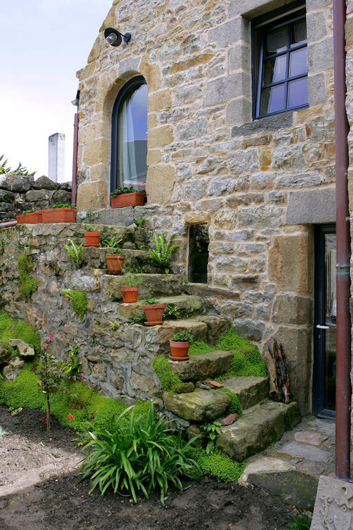Le Magasin A Sel Bed & Breakfast Crozon Dış mekan fotoğraf
